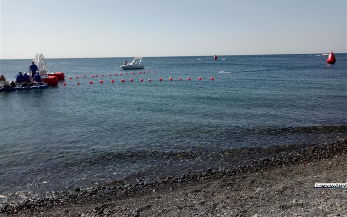 Керченские пловцы – чемпионы России по плаванию на открытой воде! (фото,  видео) | 17.09.2020 | Керчь - БезФормата